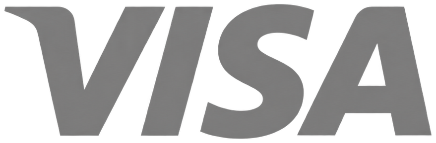 Visa wordmark used by a current IntelliJ IDEA customer